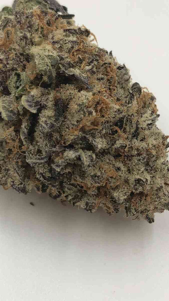 Purple Punch (Indoor)