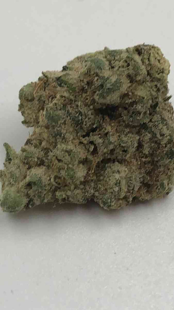 Marshmallow (indoor)