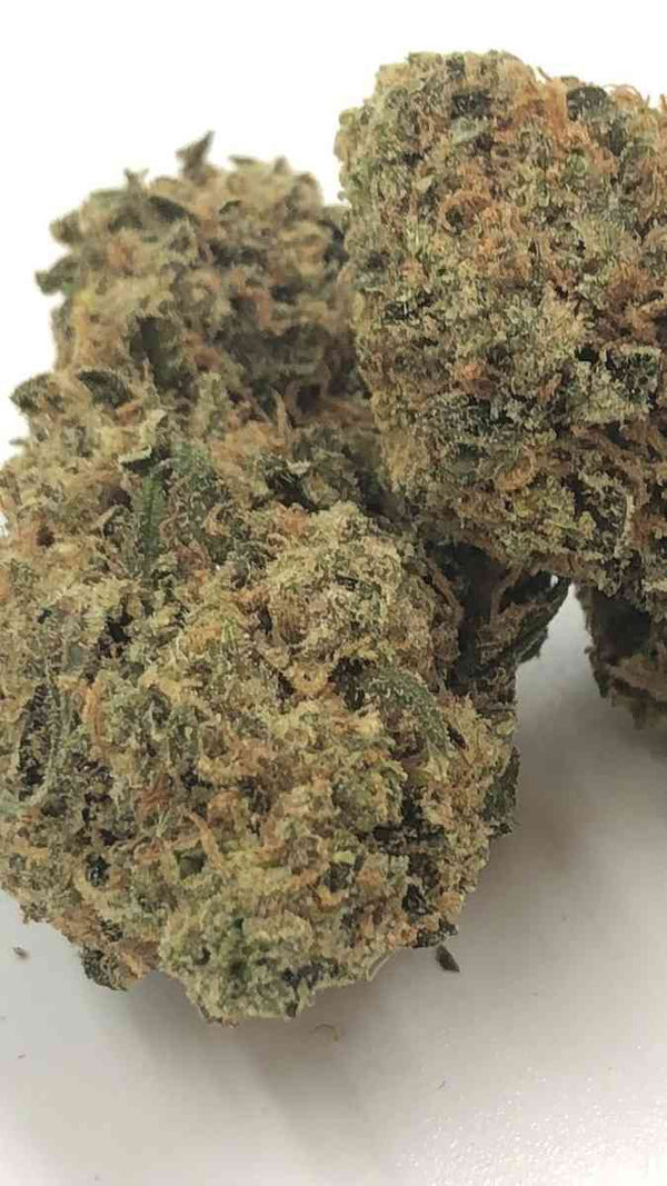 Garlic Cookies  (Indoor)