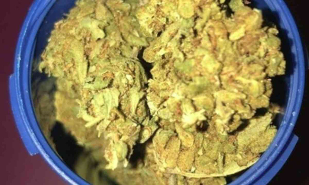 Pineapple Tsu - $109 OZ. or BOGO 50% off. (1/8 & 1/4 Only)