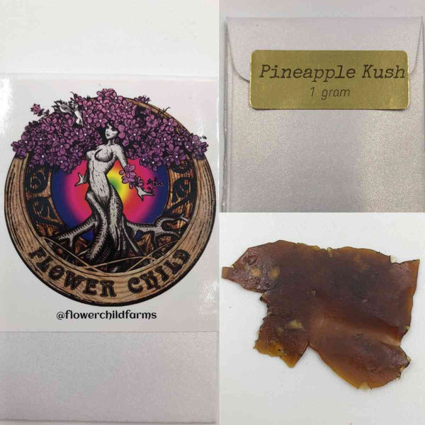 Pineapple Kush Shatter ( Flowerchild Fams)