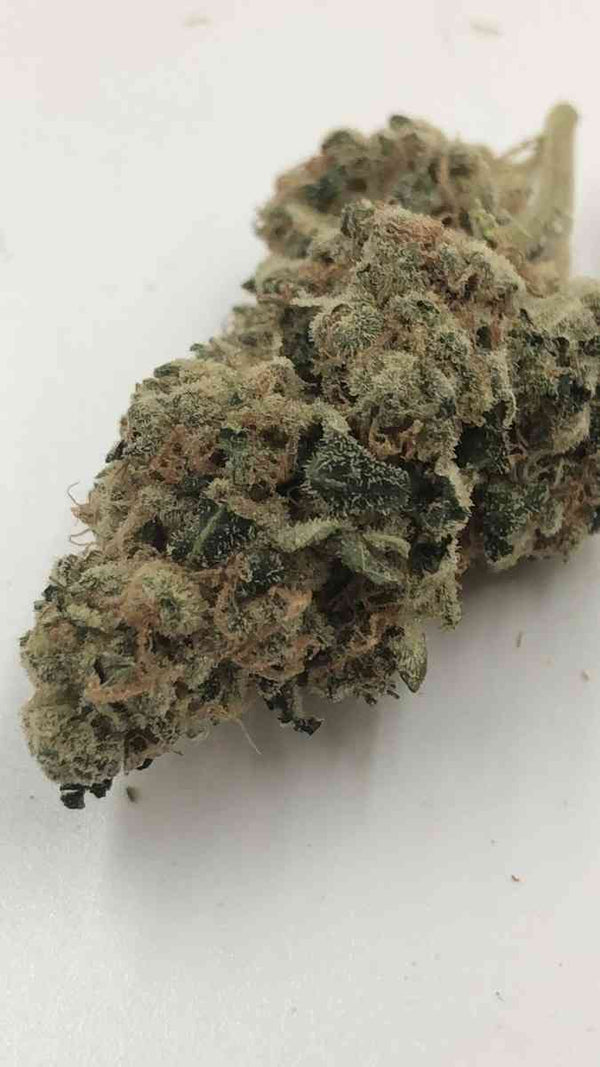 Sour Diesel (Indoor)