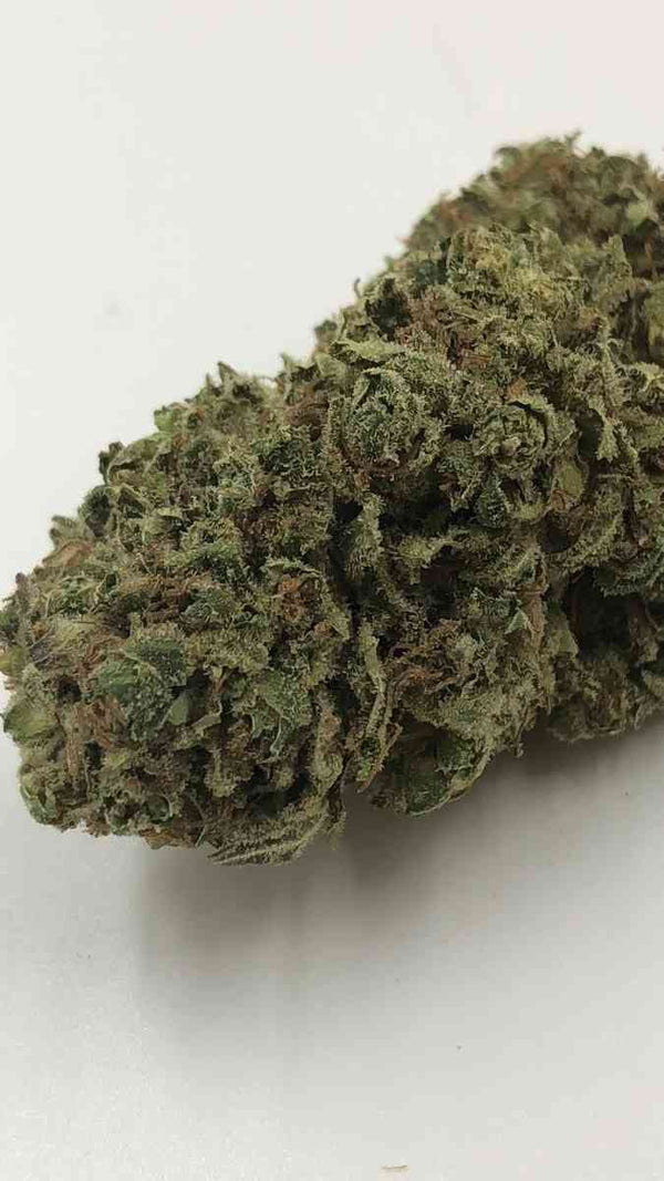 Oregon Lemons (Indoor)