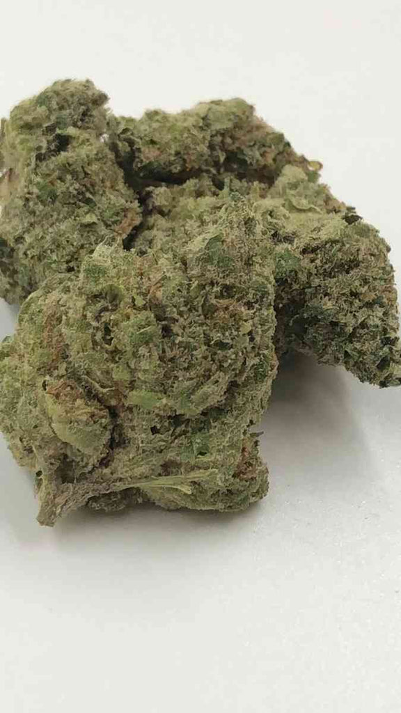 Cookie Glue (Indoor)